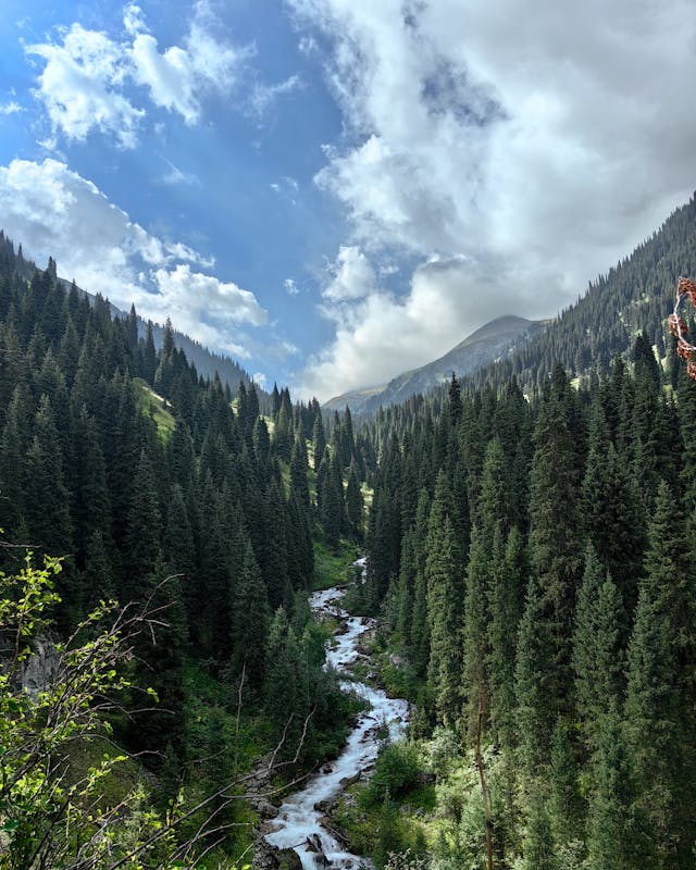 Xarqentivo krajina světla